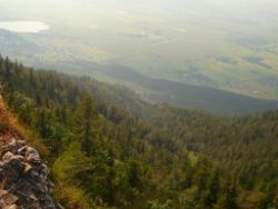 2013-07-20_Regina-F-Rau_Kochel-Rabenkopf (423).JPG